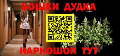молекула духа Лесосибирск