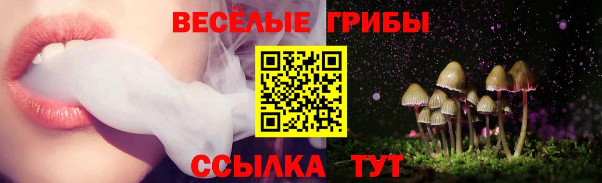 Галлюциногенные грибы прущие грибы Звенигород